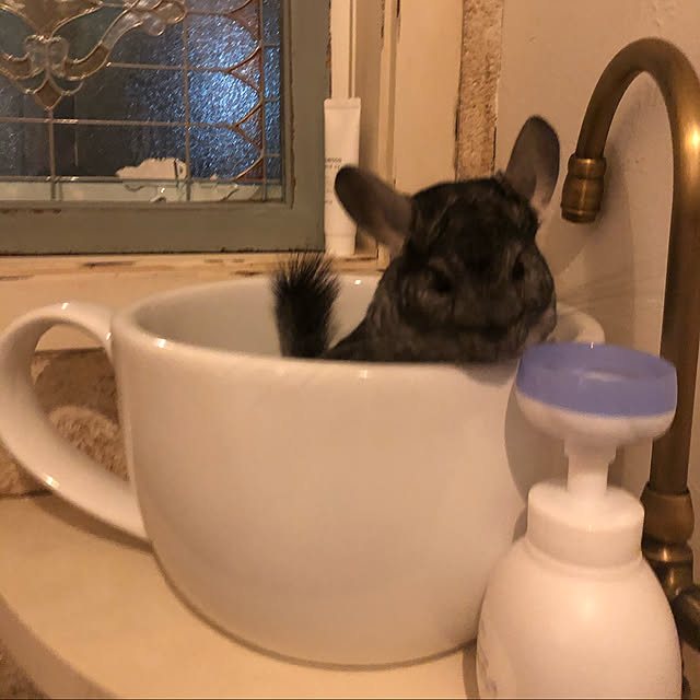 bambiさんの実例写真