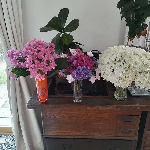 salacocoさんの部屋