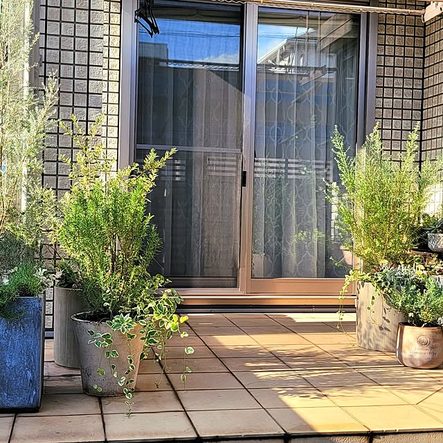 JASMINEさんの部屋