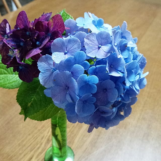 akazukinさんの実例写真
