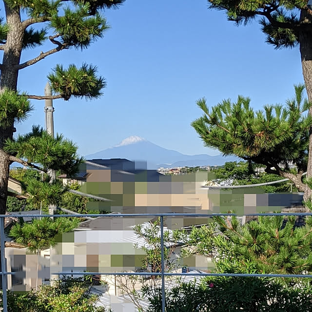 gooskaさんの実例写真