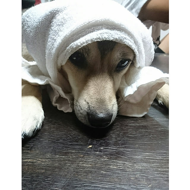 andさんの実例写真