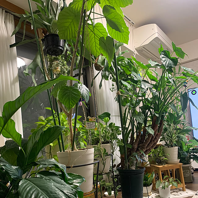 Aqettyさんの部屋