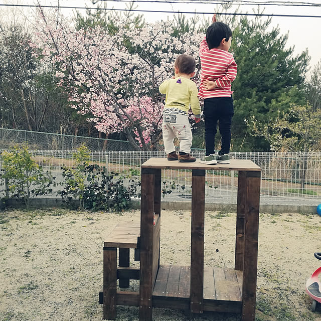 ayaさんの実例写真