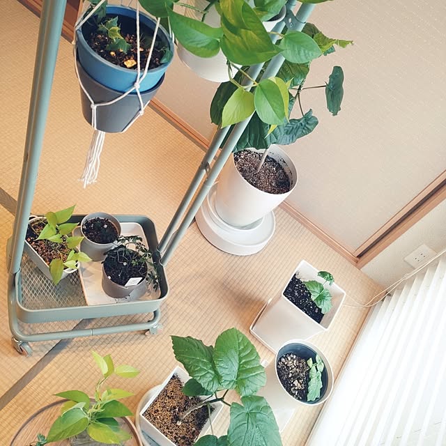 tan5さんの部屋