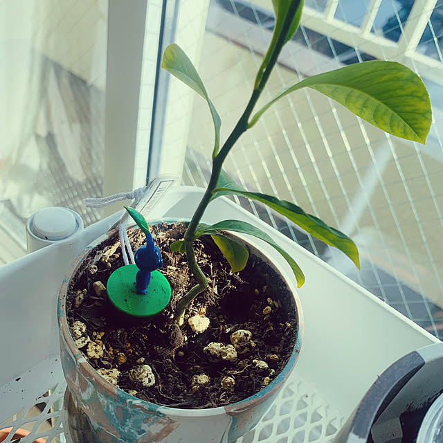 tyさんの実例写真