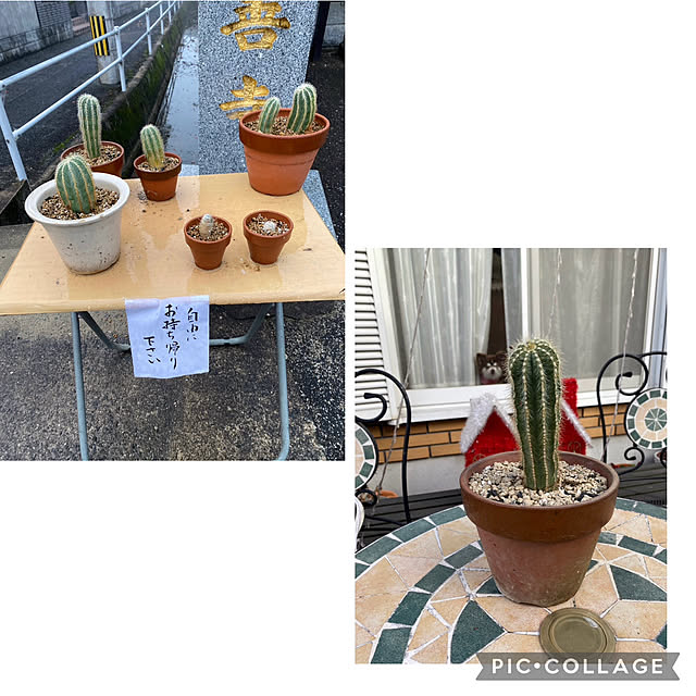 chIoeさんの部屋