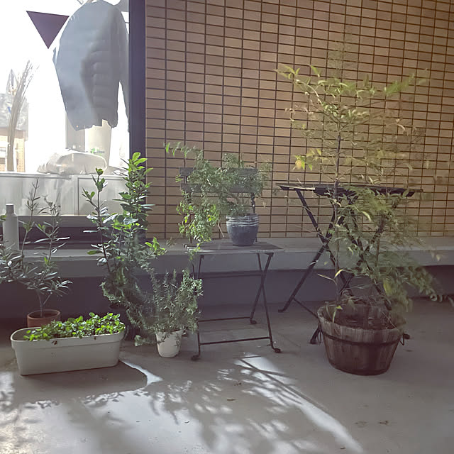 arsroさんの実例写真
