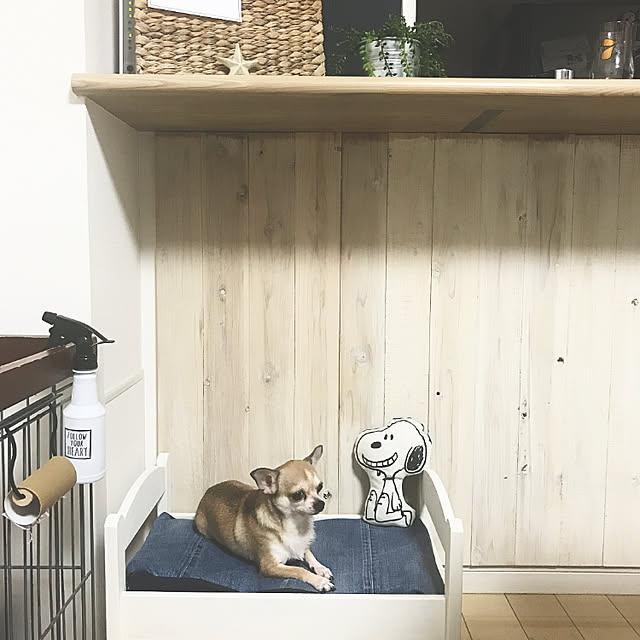 namiheeeeyさんの実例写真