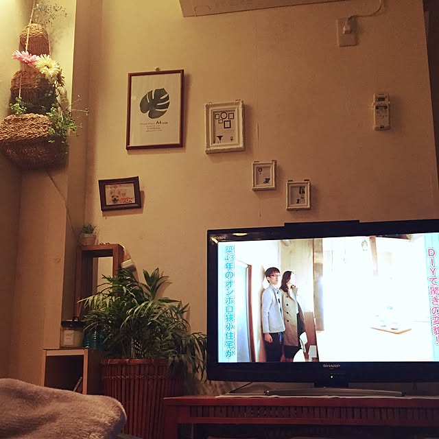 sacchiさんの実例写真