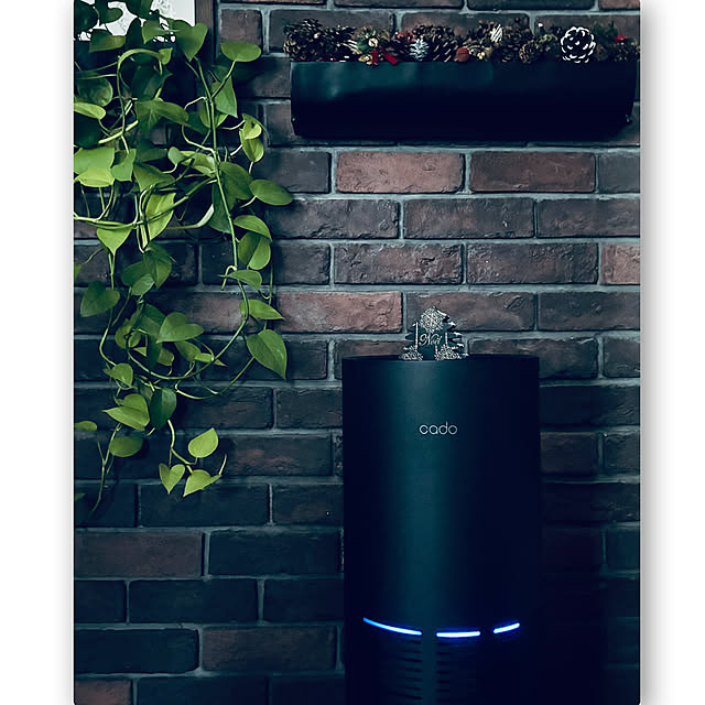 usagiさんの部屋