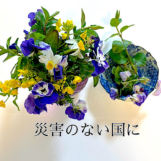 syutmmさんの実例写真