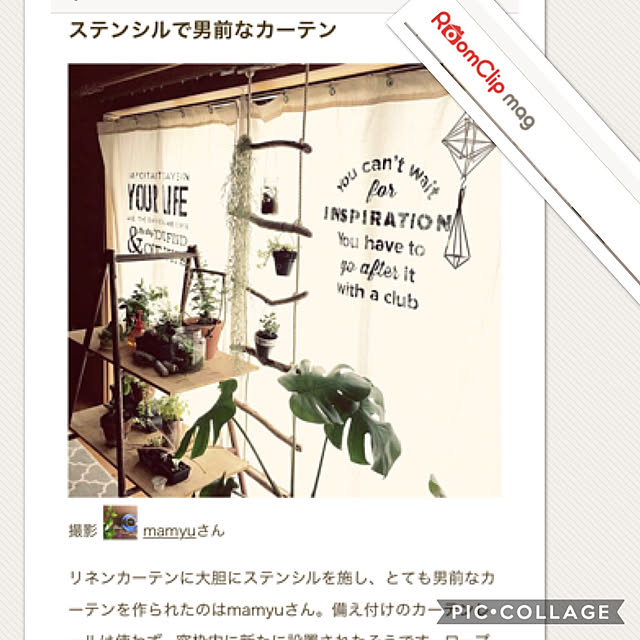 mamyuさんの実例写真