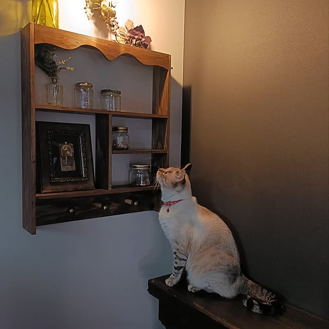 Atelier_tamakiさんの実例写真