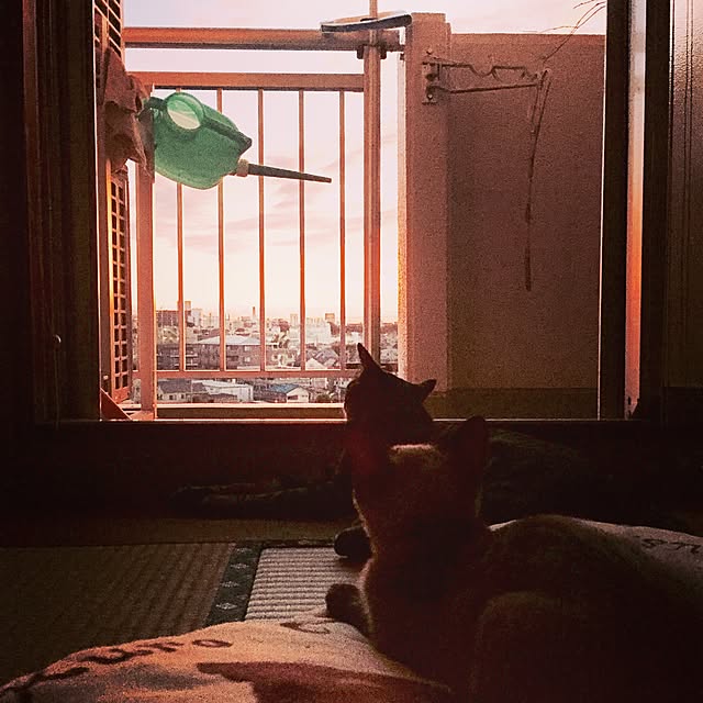 kayakoさんの実例写真