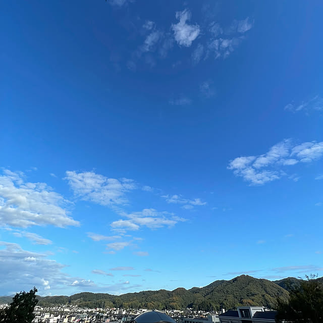 buchiさんの部屋