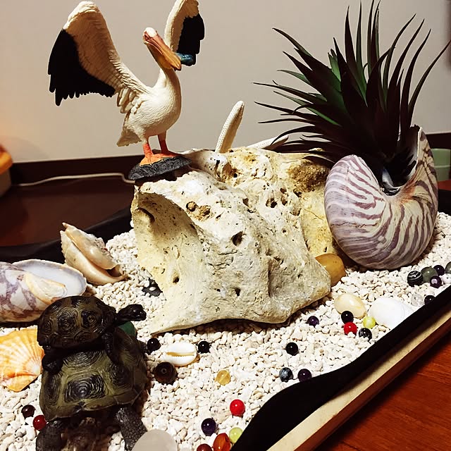 motimotinonikuさんの実例写真
