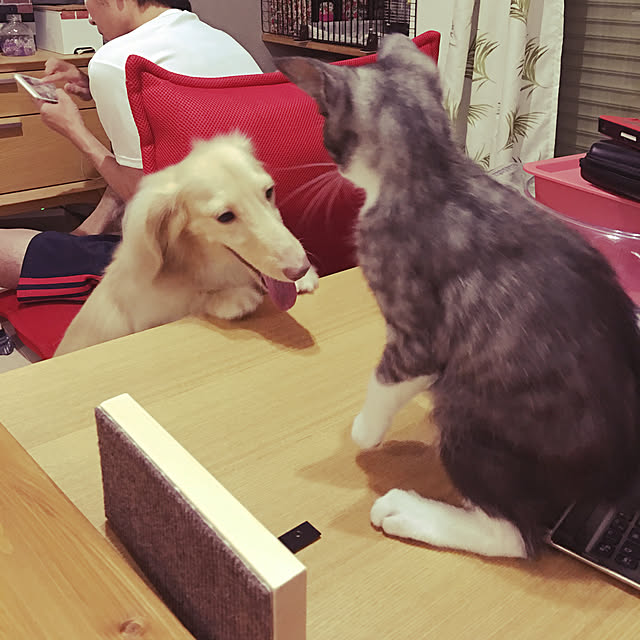 NEREさんの実例写真