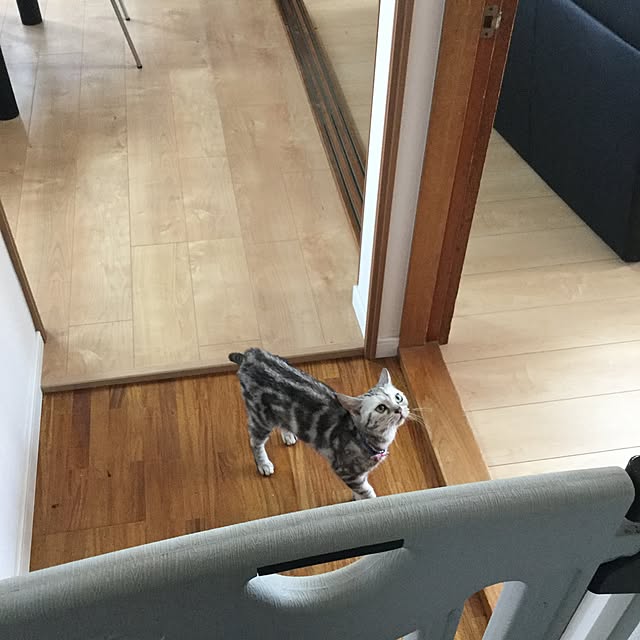 Norikoさんの実例写真