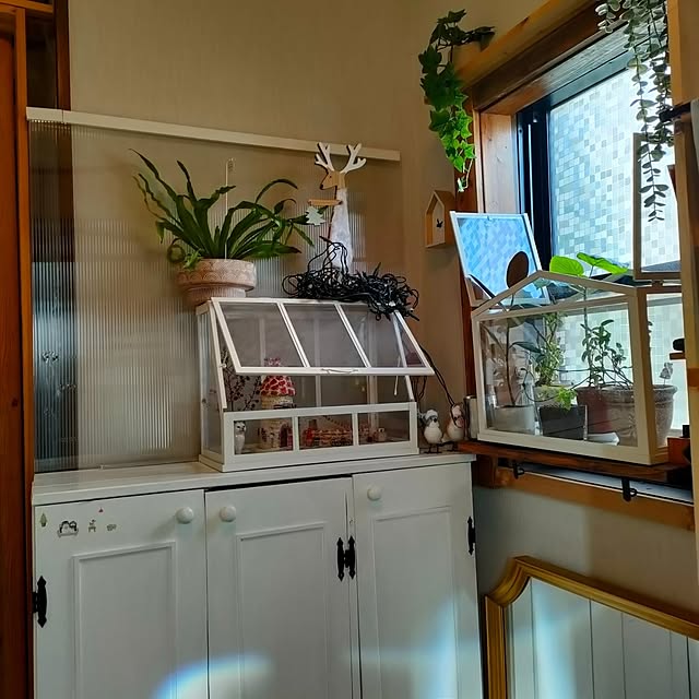 mori_6_12さんの部屋