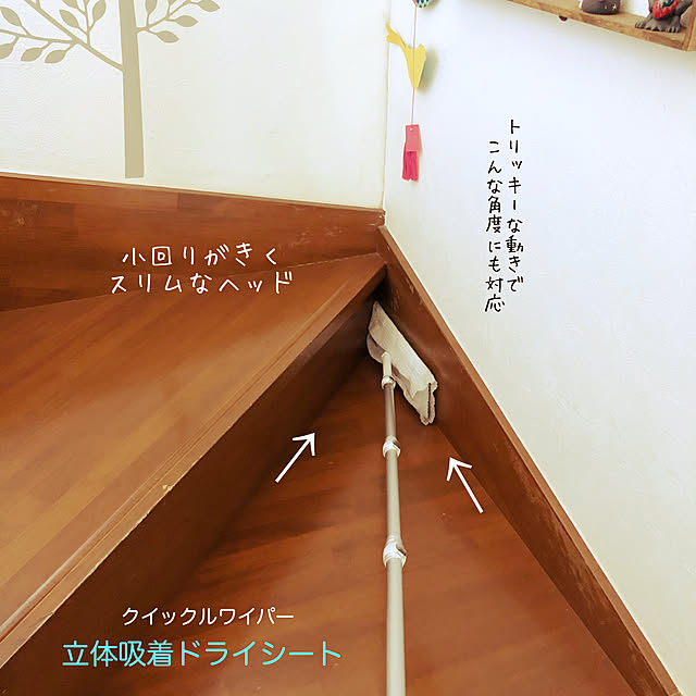 soramameさんの実例写真