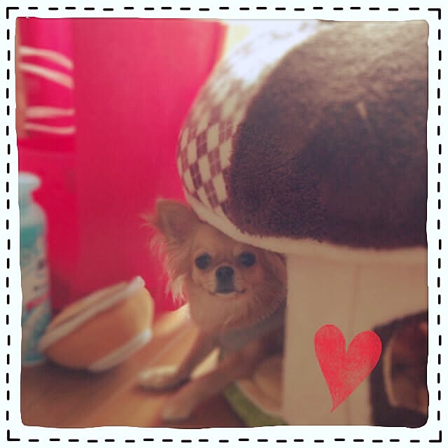 kanaeさんの実例写真