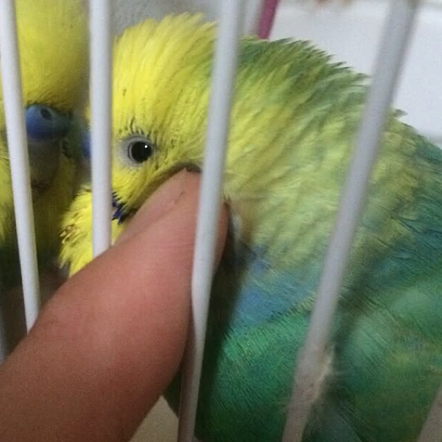 mgさんの実例写真