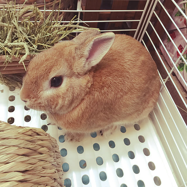 Yasuyukiさんの実例写真
