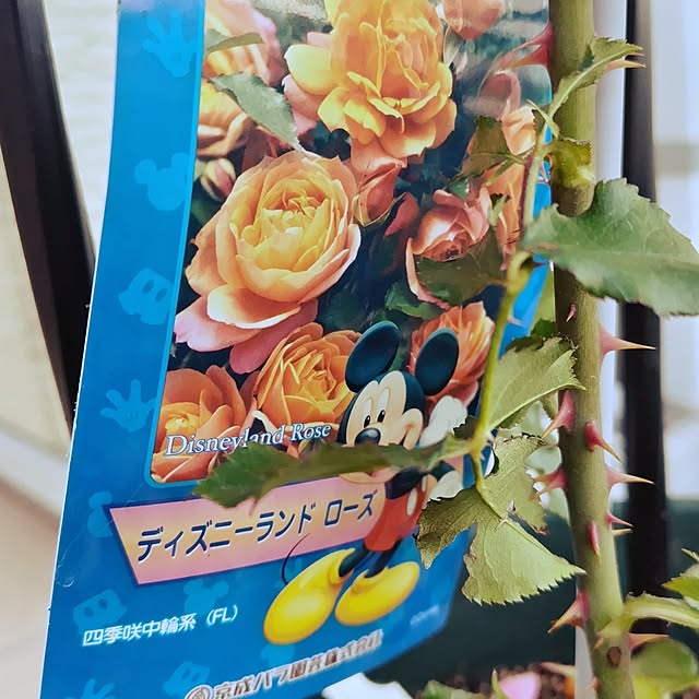 kakkoさんの部屋