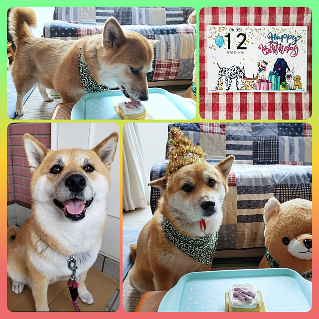 nanaさんの実例写真