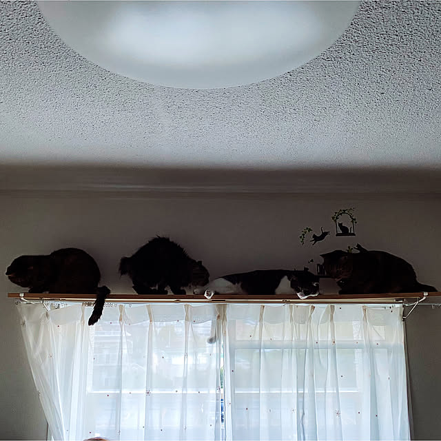 sumoanzuさんの実例写真