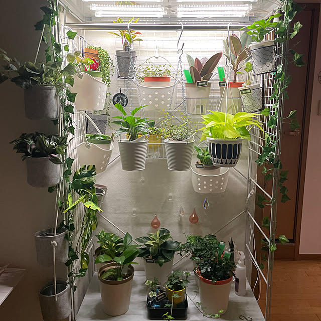 IKEA 植物育成ライトのおすすめ商品とおしゃれな実例