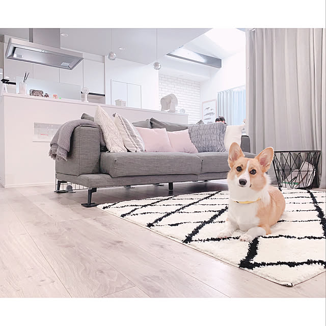 3ayuさんの実例写真