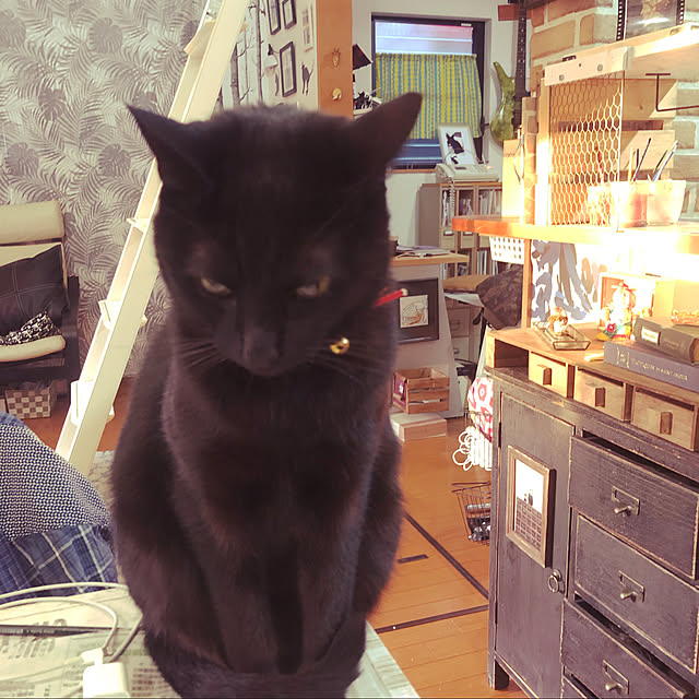 jijiさんの実例写真