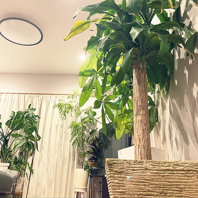 1546さんの実例写真