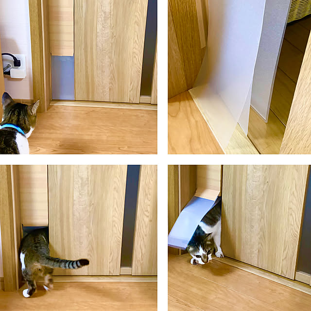 haruminさんの部屋