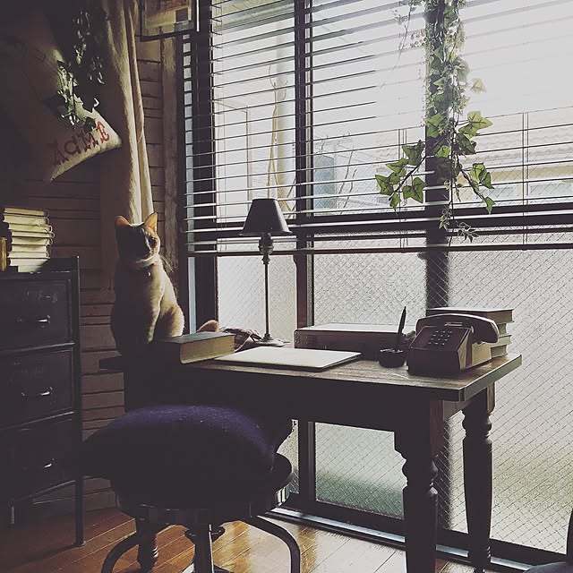 Naoki.さんの実例写真