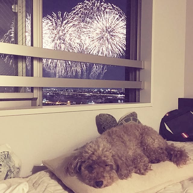 CURL38さんの実例写真