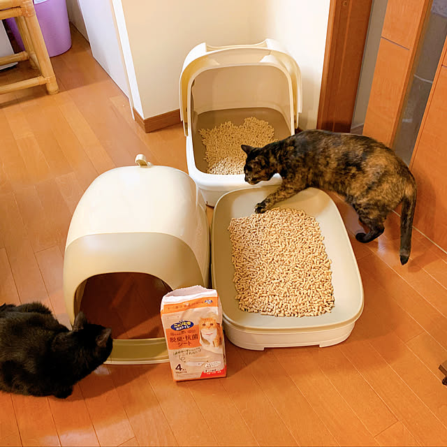 mameazさんの実例写真