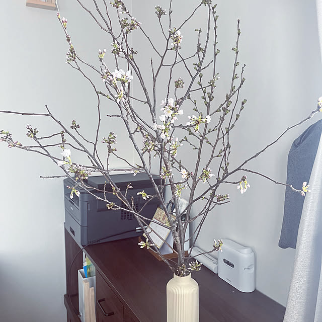 Fuyuさんの部屋