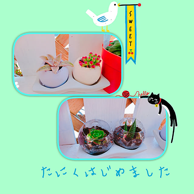 maiさんの実例写真