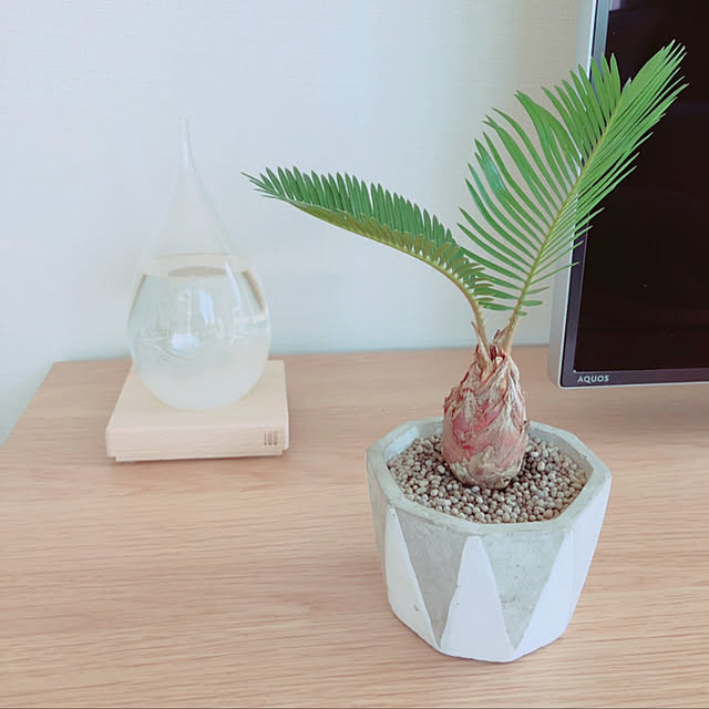 pinomammaさんの実例写真