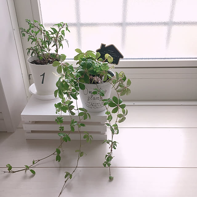 t.m.r.sさんの実例写真