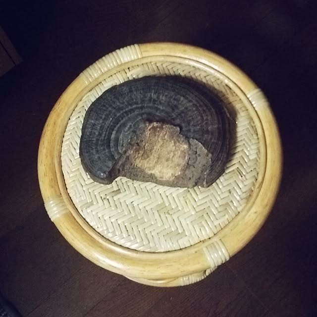 satominさんの実例写真