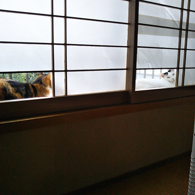 yukieさんの実例写真