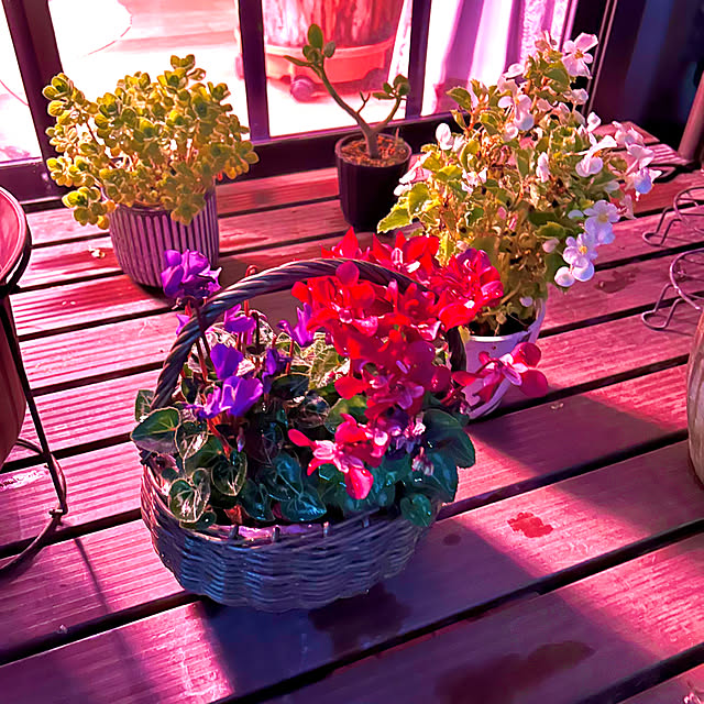 seana3761さんの部屋