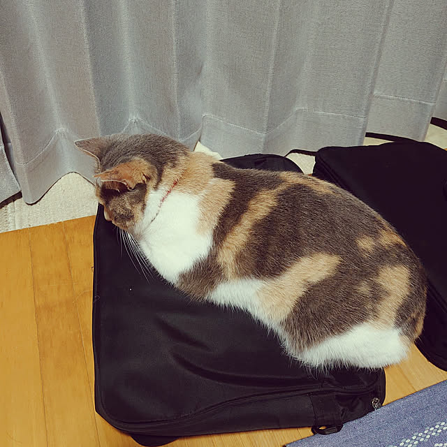 fukuさんの実例写真