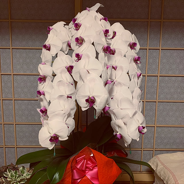fuxi0413さんの実例写真