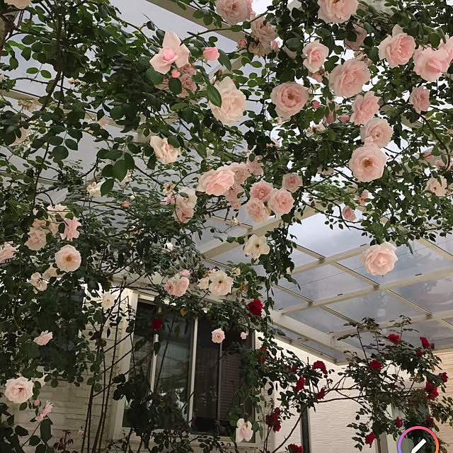 hana.hanaさんの実例写真