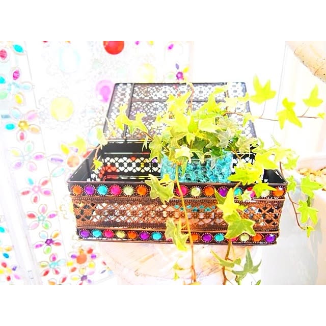 popさんの実例写真